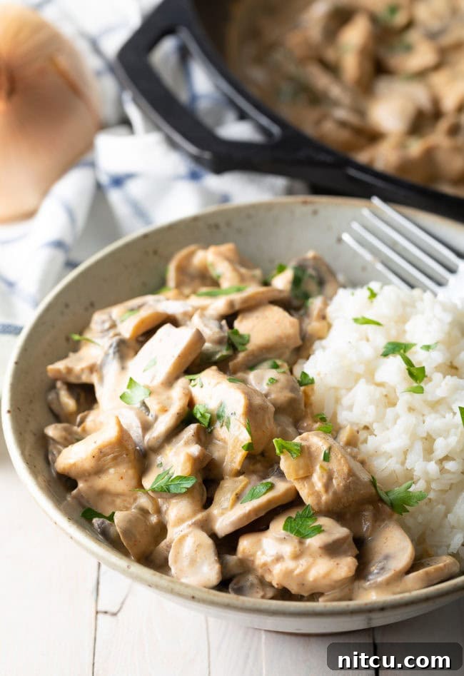 Creamy Cajun Chicken and Mushroom Skillet 11 Creamy Skillet Cajun Chicken & Mushrooms | A Spicy Perspective