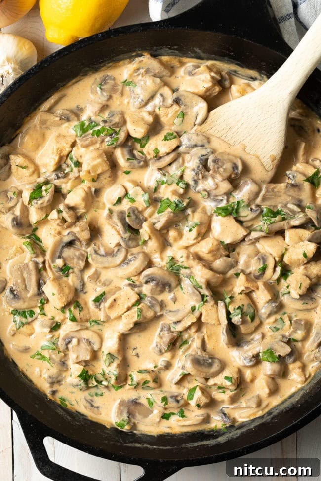 Creamy Cajun Chicken and Mushroom Skillet 3 Cajun Chicken & Mushrooms | A Spicy Perspective