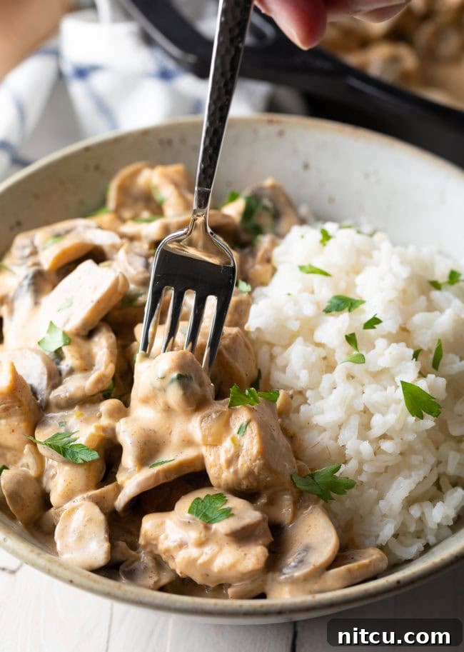 Creamy Cajun Chicken and Mushroom Skillet 4 Chicken with Mushrooms and Rice