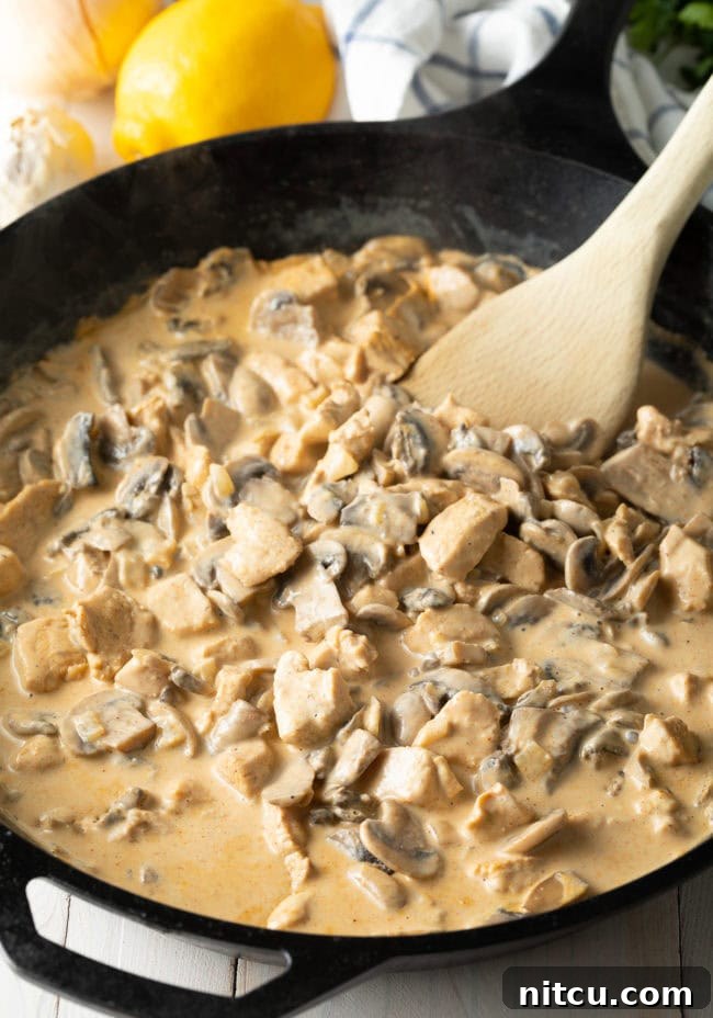 Creamy Cajun Chicken and Mushroom Skillet 9 mushrooms and chicken with smooth, spicy sauce