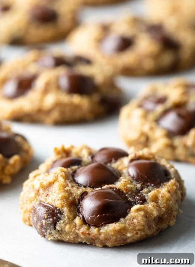 Banana Bread Bliss Chocolate Chip Cookies 2 Close shot of a banana oatmeal cookie with chocolate chips.