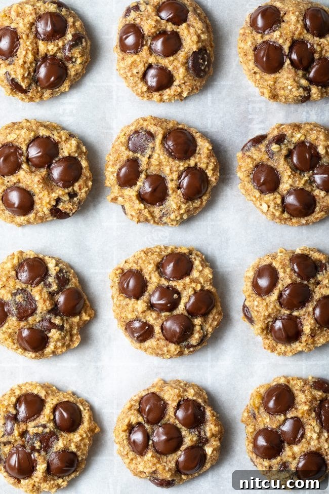 Banana Bread Bliss Chocolate Chip Cookies 9 Top down view a dozen chocolate chip cookies on parchment baking paper.