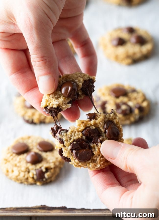 Banana Bread Bliss Chocolate Chip Cookies 10 Hand pulling apart a healthy chocolate chip cookie to show the melty chocolate.