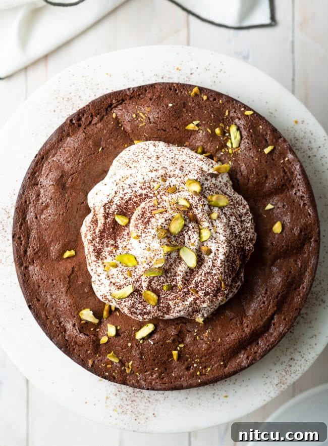 Gluten Free Flourless Fudgy Chocolate Brownie Cake 3 gluten free brownie cake overhead shot of whole cake on stand