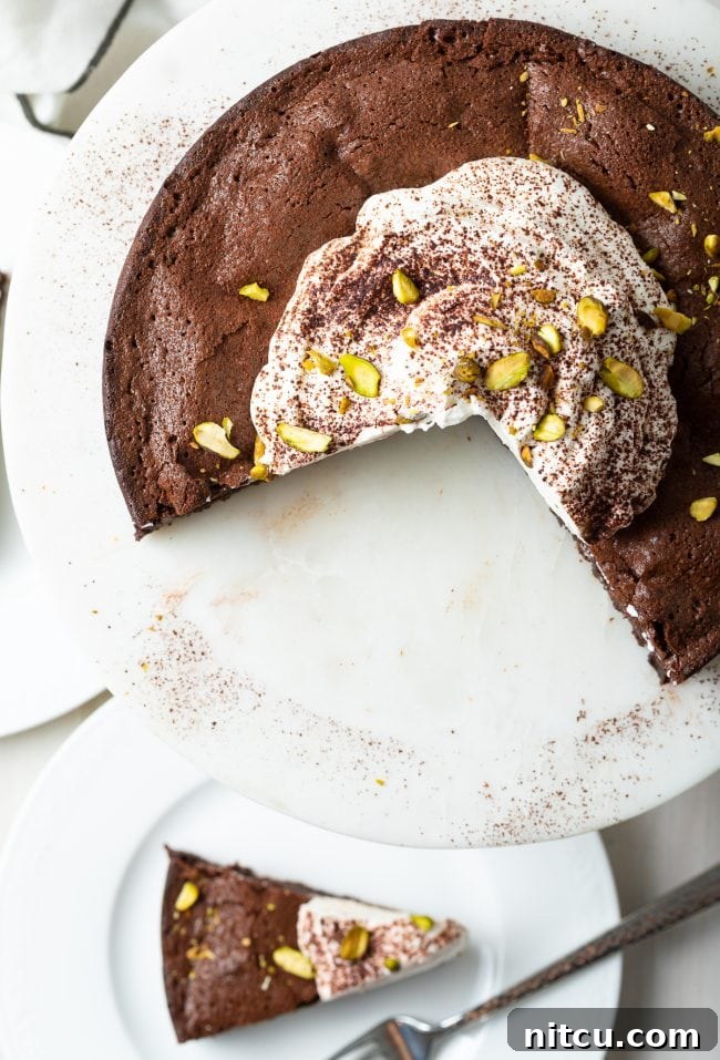 Gluten Free Flourless Fudgy Chocolate Brownie Cake 9 flourless cake overhead shot with slices