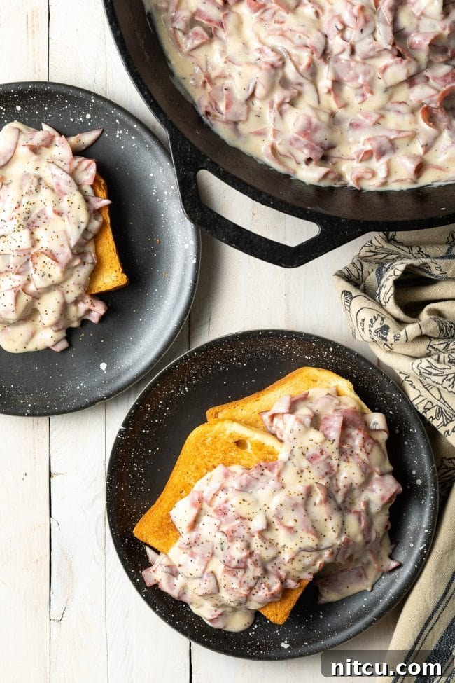 Classic Creamed Beef Toast 9 Two plates featuring generous servings of cream chipped beef on toast, inviting and comforting.