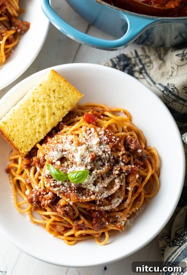 The Ultimate Spaghetti and Meat Sauce 2 best meat sauce recipe over head shot in bowl with spaghetti