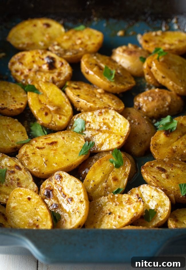 Zesty Greek Lemon Garlic Potatoes 8 Roasted baby potatoes with garlic and lemon in a blue pan.