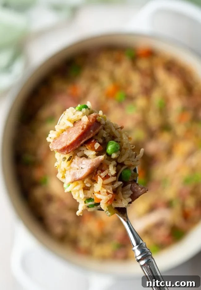 Classic Carolina Chicken Bog 4 how to make southern chicken bog with sausage - bite shown on spoon