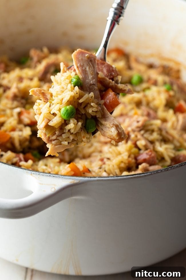 Classic Carolina Chicken Bog 10 Big bite of chicken rice pilaf
