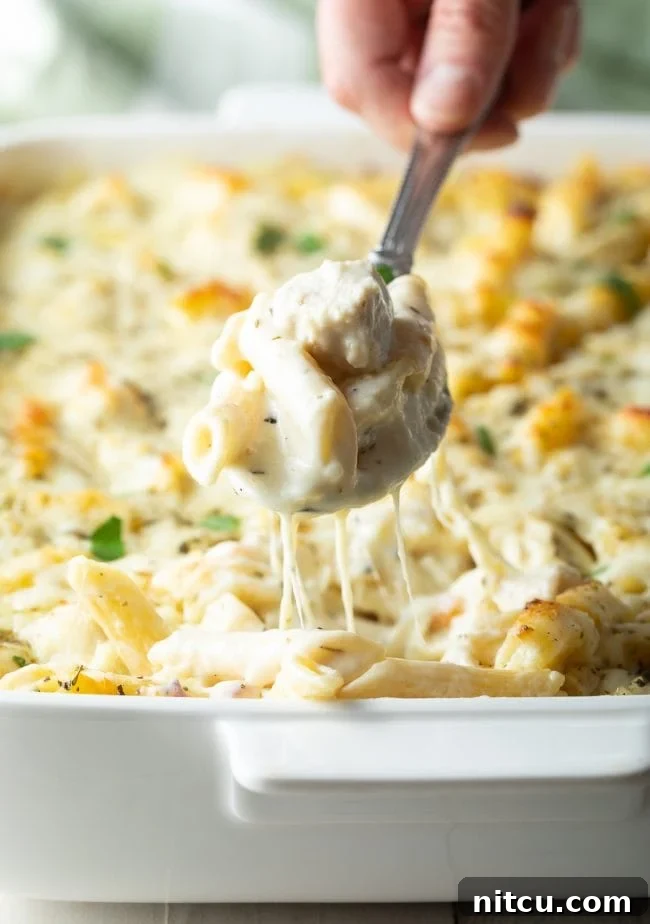Ultimate Cheesy Chicken Alfredo Bake 2 Hand holding spoonful of cheesy chicken alfredo pasta bake to camera, showcasing creamy texture and melted cheese.
