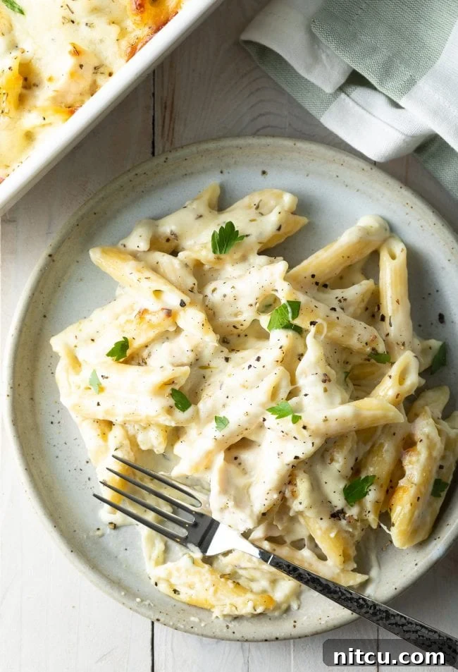 Ultimate Cheesy Chicken Alfredo Bake 3 Top down view of a generous serving of cheesy chicken alfredo pasta bake on a white plate with a fork.