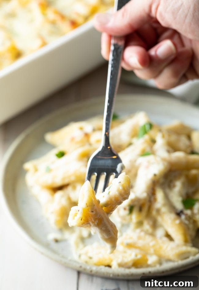 Ultimate Cheesy Chicken Alfredo Bake 4 Hand holding a fork with a bite of cheesy pasta, showing the rich, creamy sauce and tender chicken.