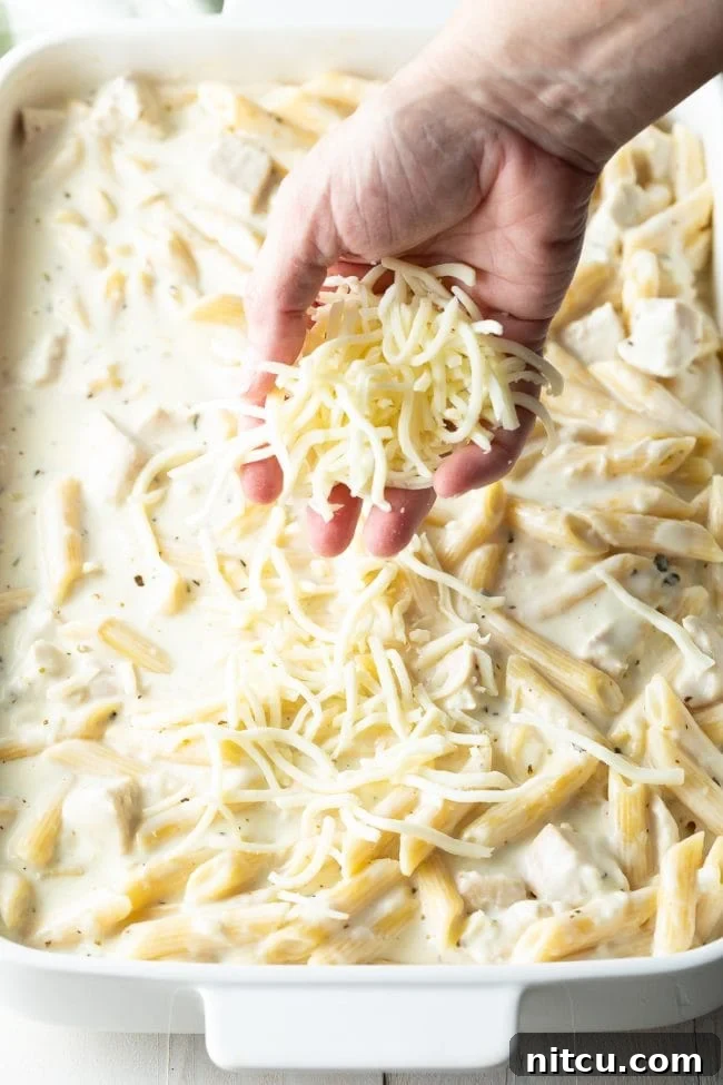 Ultimate Cheesy Chicken Alfredo Bake 7 Hand adding shredded mozzarella cheese on top of the chicken Alfredo casserole before baking.
