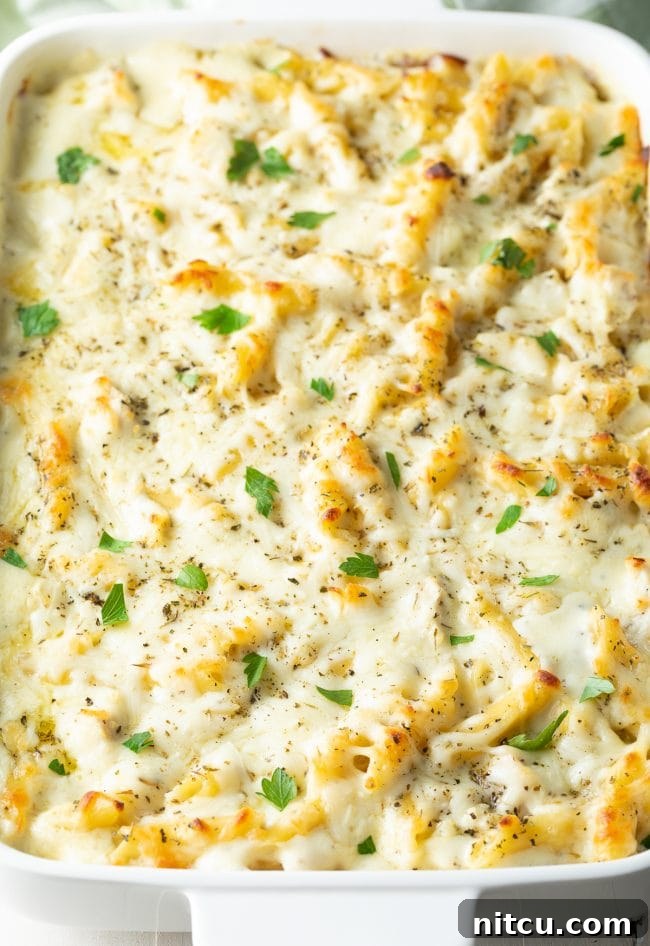 Ultimate Cheesy Chicken Alfredo Bake 8 Close-up of a bubbling, cheesy chicken alfredo pasta bake fresh out of the oven.