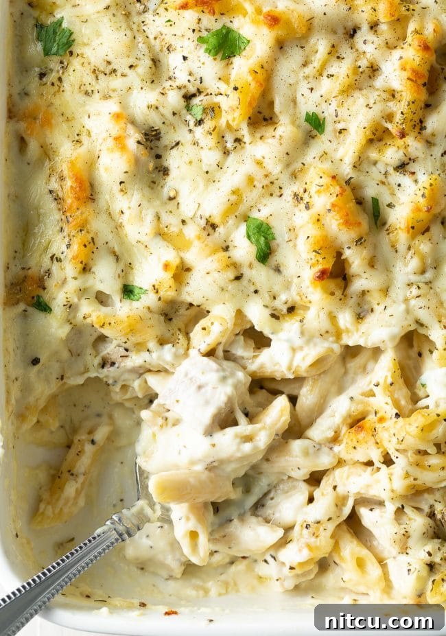 Ultimate Cheesy Chicken Alfredo Bake 9 Top down view of baked chicken and cheese Alfredo pasta, with a metal spoon scooping away a serving from the baking dish.