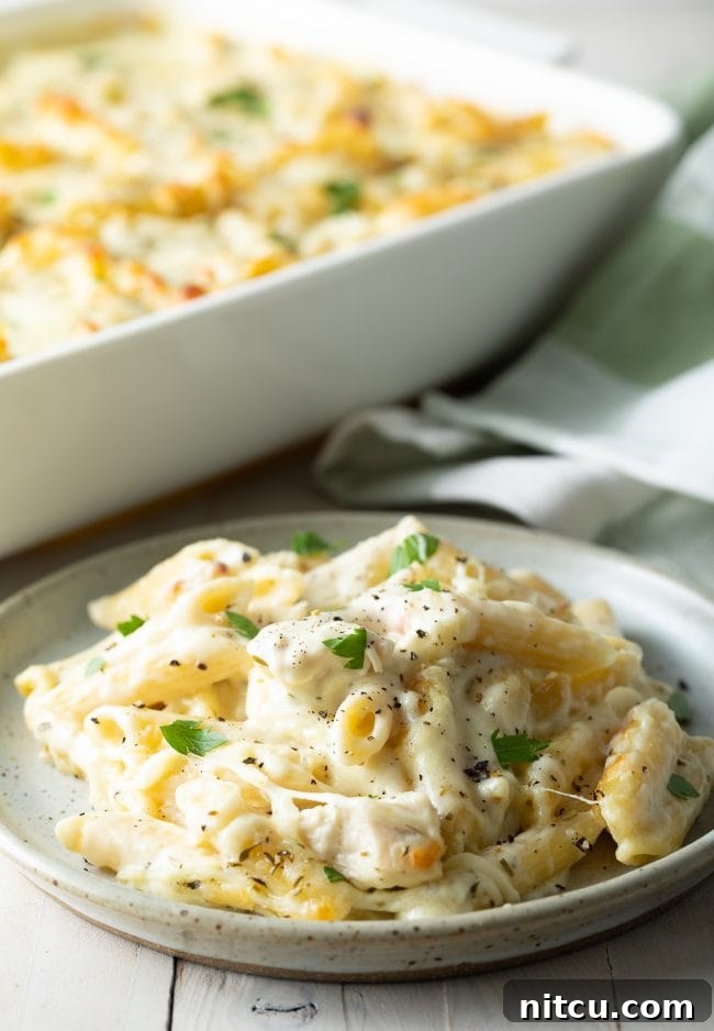 Ultimate Cheesy Chicken Alfredo Bake 10 Plate of cheesy chicken Alfredo bake on a white plate, showing the rich texture and topping.
