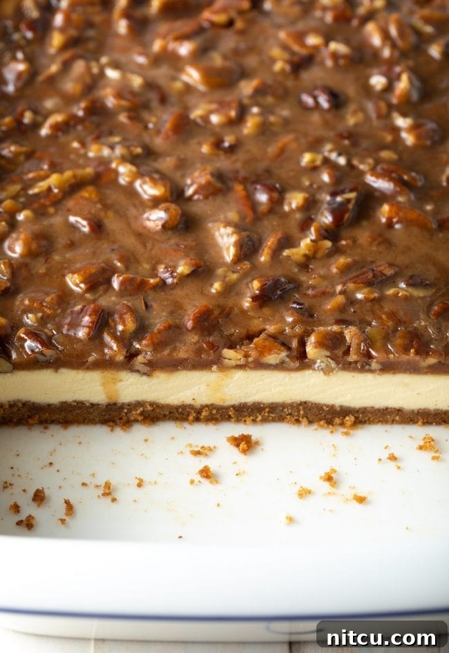 Pecan Praline Cheesecake Delight 11 Side view of Pecan Pie Cheesecake bars, showing the distinct layers of crust, cheesecake, and pecan topping.