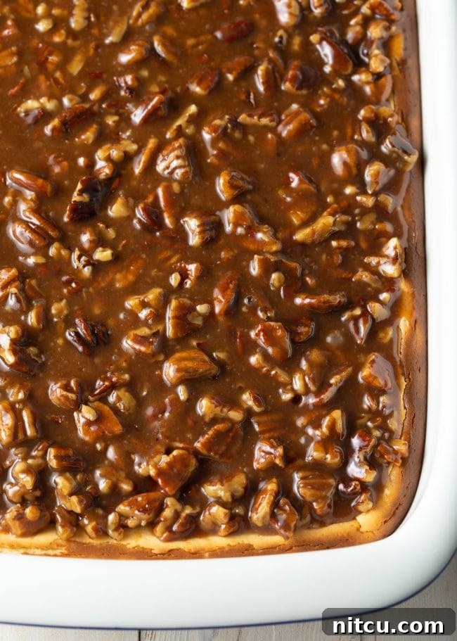 Pecan Praline Cheesecake Delight 3 Overhead view of a baked Pecan Pie Cheesecake in a rectangular baking dish, with the golden-brown pecan topping visible.