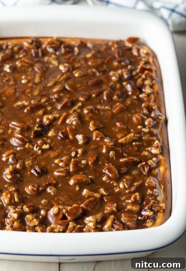 Pecan Praline Cheesecake Delight 10 A full baking dish of Pecan Pie Cheesecake bars, showcasing the beautiful layers and ready to be sliced.