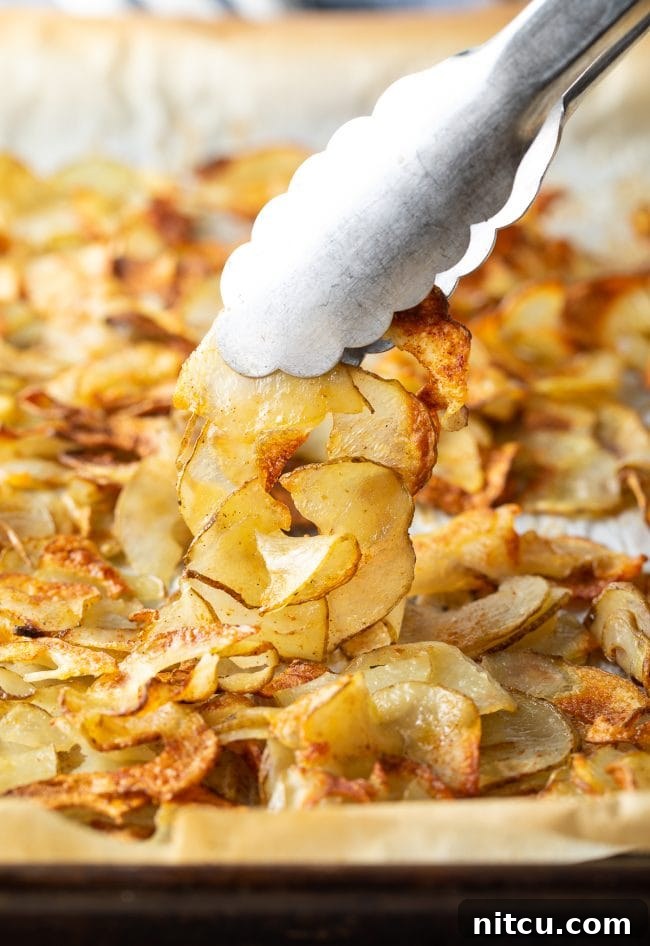 Metal tongs holding a portion of crispy ribbon fries to camera.