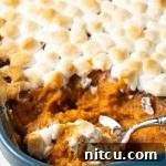 Southern Sunshine Sweet Potato Bake 11 Best Sweet Potato Casserole