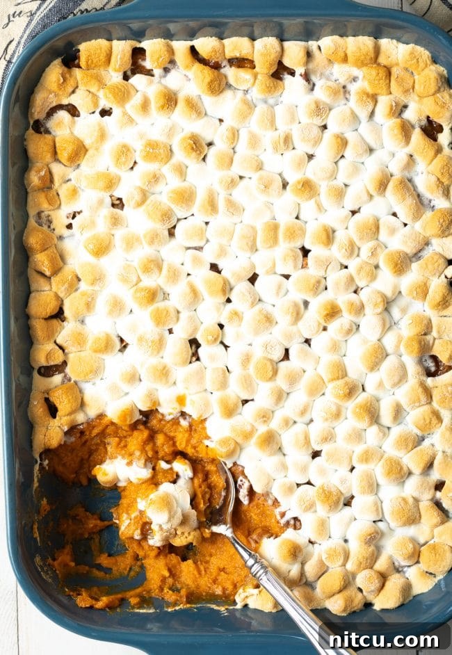 Southern Sunshine Sweet Potato Bake 3 baked sweet potato casserole with pecans and marshmallows