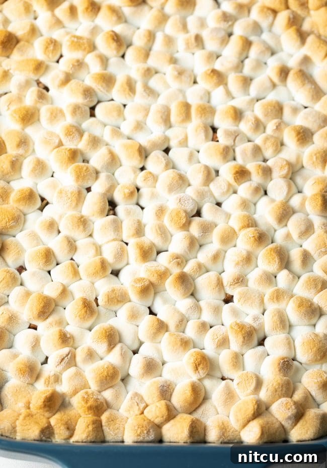 Southern Sunshine Sweet Potato Bake 9 baked casserole with marshmallows on top