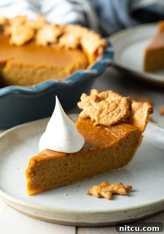 Libbys Classic Pumpkin Pie 2 Slice of pumpkin pie on a plate with a dollop of whipped cream on top.