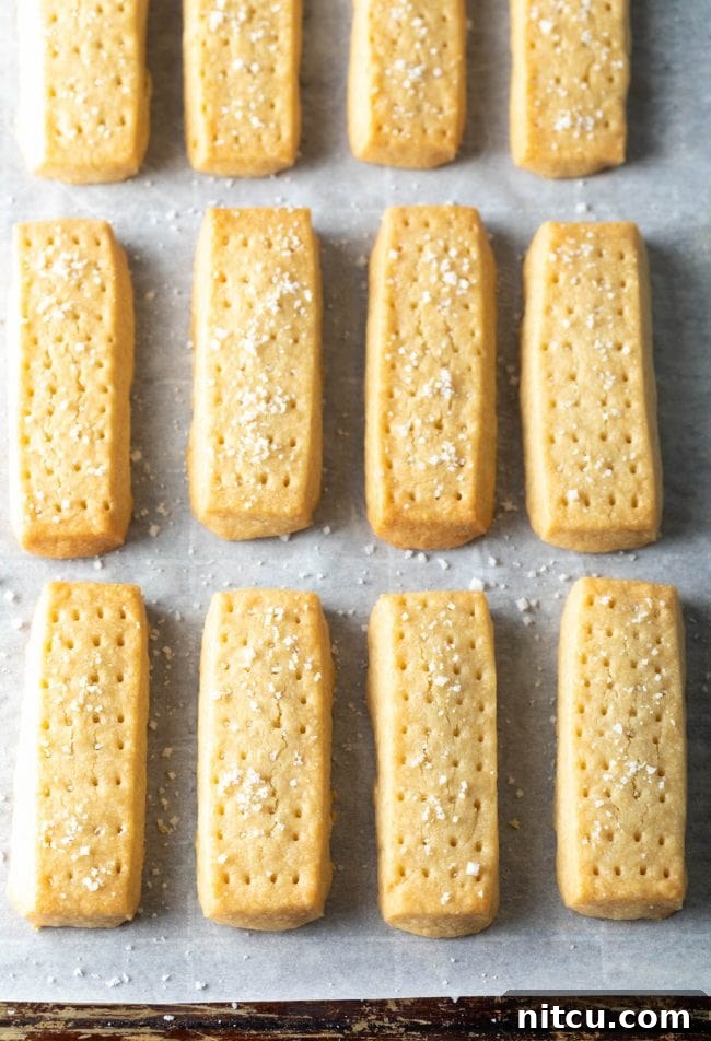 Buttery Scottish Shortbread Delight 3 Overhead shot of rectangular shortbread cookies sprinkled with sea salt.