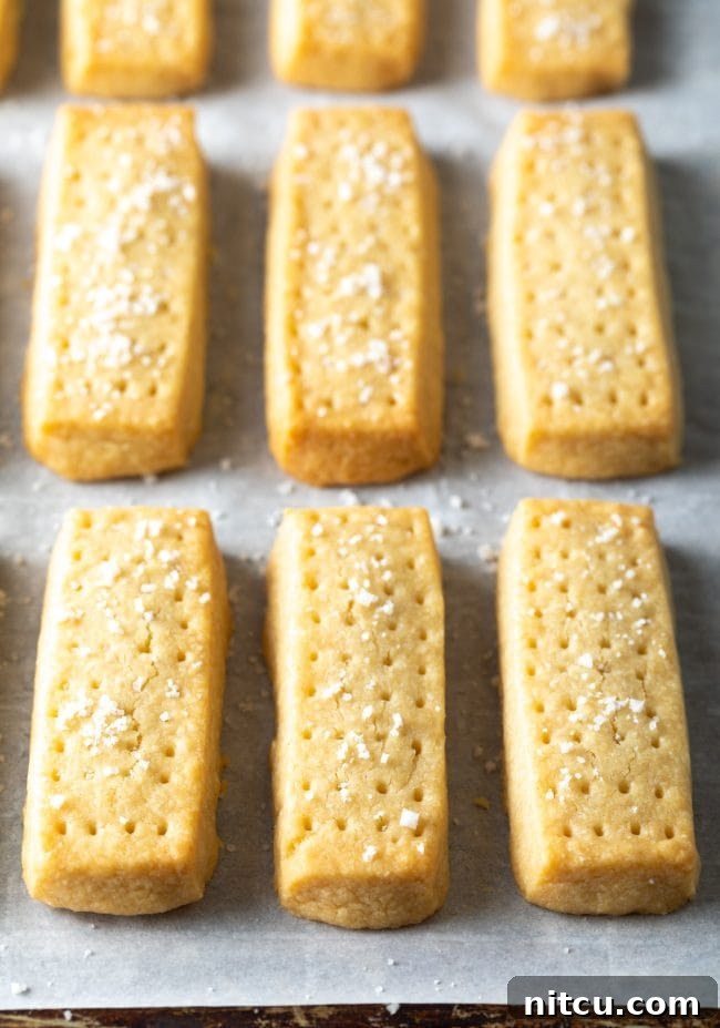 Buttery Scottish Shortbread Delight 8 Scottish shortbread cookies on a baking sheet lined with parchment paper after being baked.