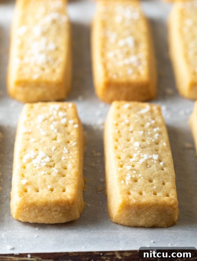 Buttery Scottish Shortbread Delight 9 Close up shot of two shortbread cookies on a baking sheet.