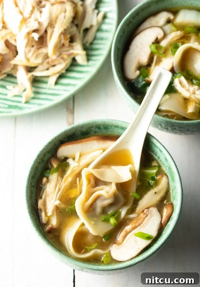 Ultimate Wor Wonton Soup 16 Overhead shot of a delicious homemade Wor Wonton Chicken Soup in a bowl, garnished beautifully.