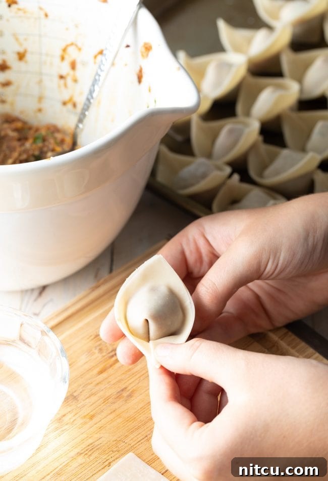 Ultimate Wor Wonton Soup 9 A series of freshly folded wontons, perfectly shaped and ready for cooking.