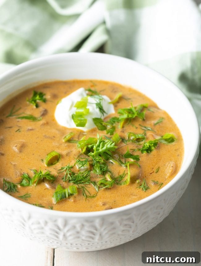 Classic Hungarian Mushroom Soup Made Vegan and Gluten Free 2 Close-up view of a steaming bowl of homemade Hungarian Mushroom Soup, garnished with fresh dill.