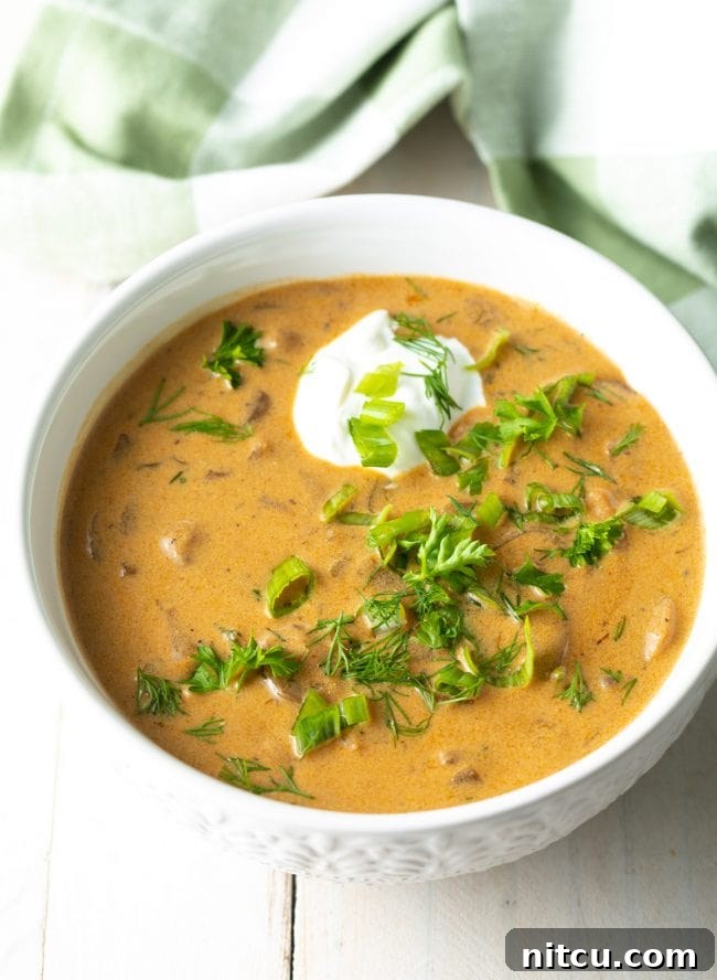 Classic Hungarian Mushroom Soup Made Vegan and Gluten Free 11 Bowls of gluten-free, vegan-friendly cream of mushroom soup, garnished with fresh herbs.