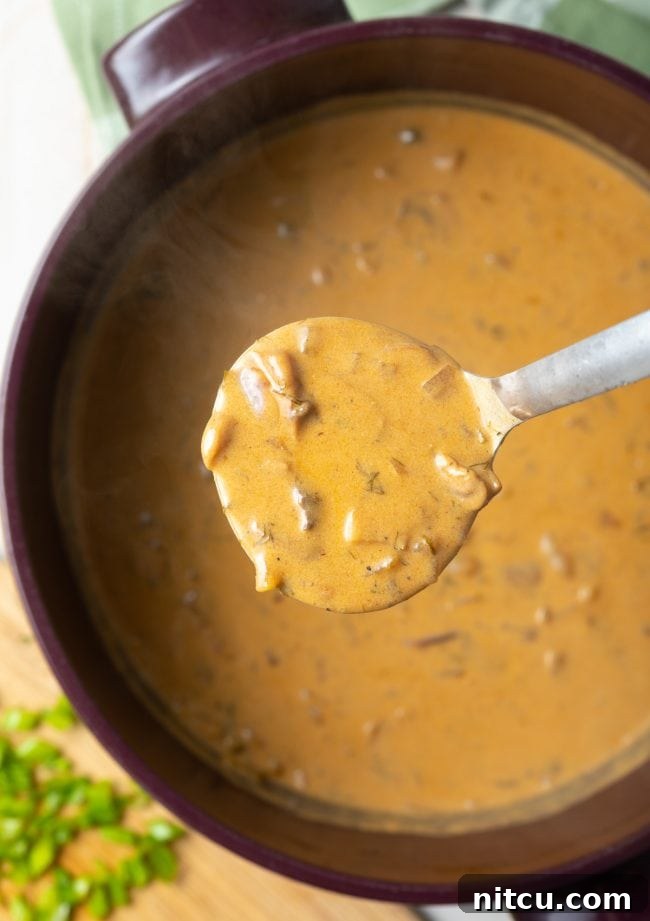 Classic Hungarian Mushroom Soup Made Vegan and Gluten Free 10 Creamy gluten-free mushroom soup being served in a ladle.