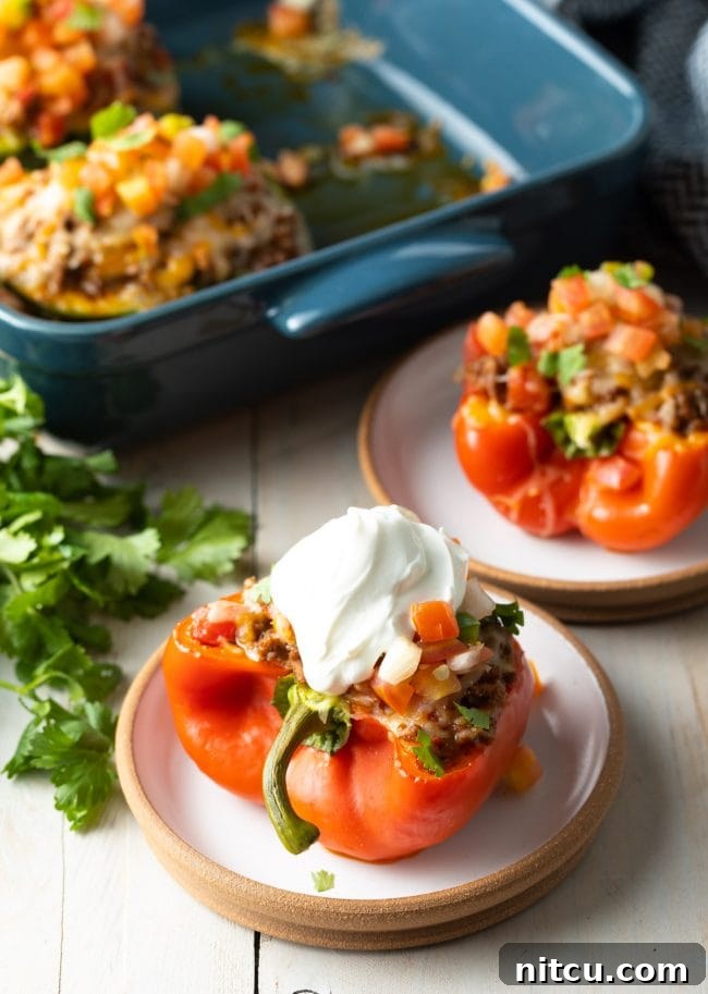 Savory Keto Bell Pepper Boats 9 low carb keto stuffed taco peppers recipe