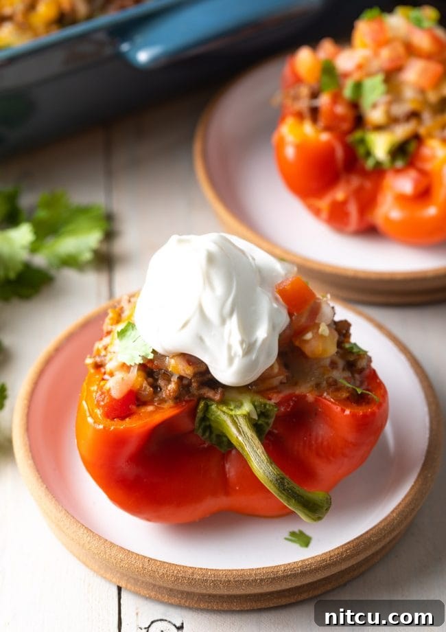 Savory Keto Bell Pepper Boats 10 stuffed bell peppers with sour cream