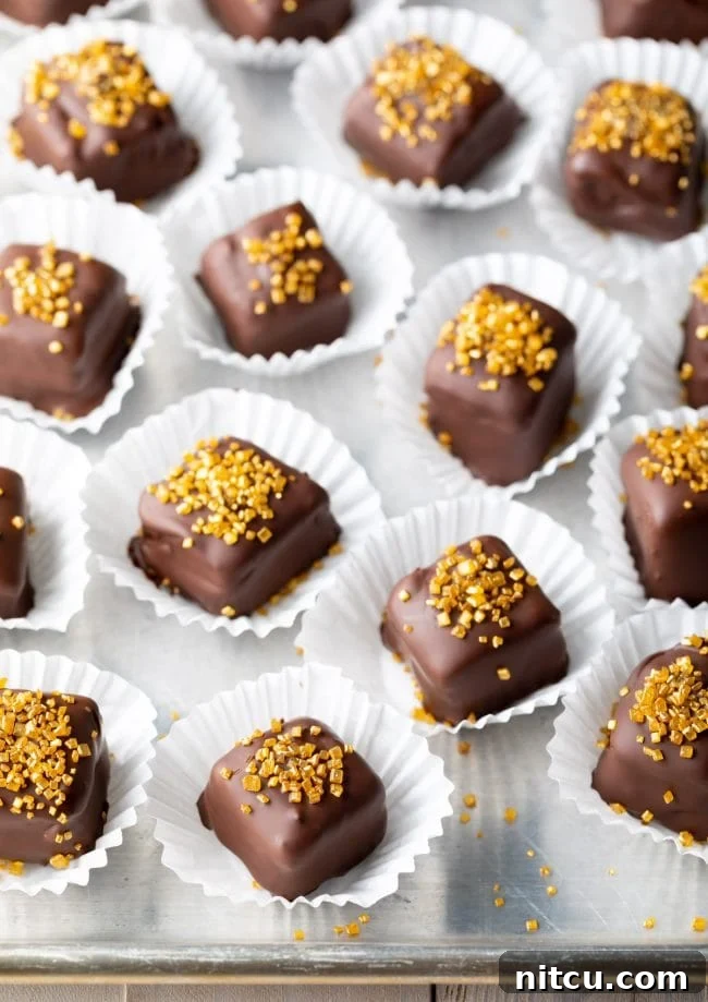 Chocolate Petit Fours gracefully arranged on a serving tray, adorned with delicate gold sprinkles, ready for presentation.