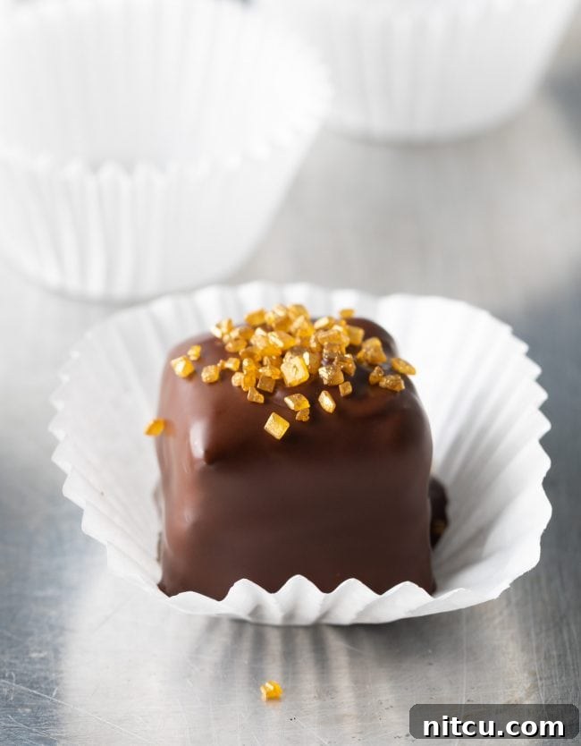 A single, perfectly crafted chocolate petit four cake, showcasing its smooth chocolate coating and delicate size.