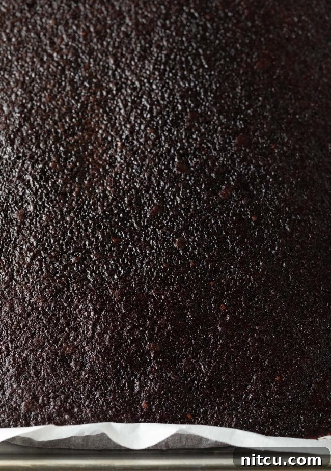 Overhead shot of rich dark chocolate cake on a baking sheet after being baked and ready for layering.