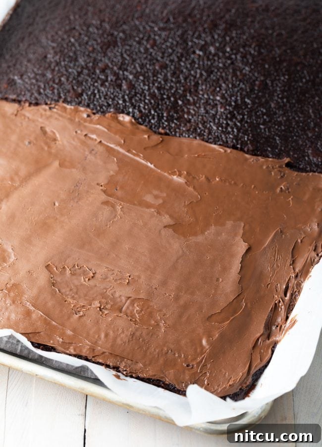 Two halves of chocolate cake, one spread with a thin layer of Nutella, ready to be assembled.