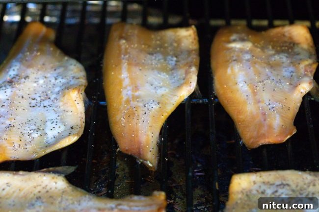 A trout fillet placed on the grates inside a smoker, beginning the smoking process.