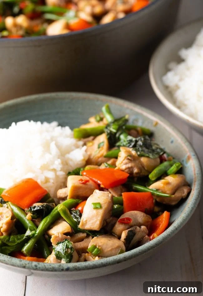Spicy Thai Basil Chicken in a bowl with fresh chiles and basil leaves as garnish.
