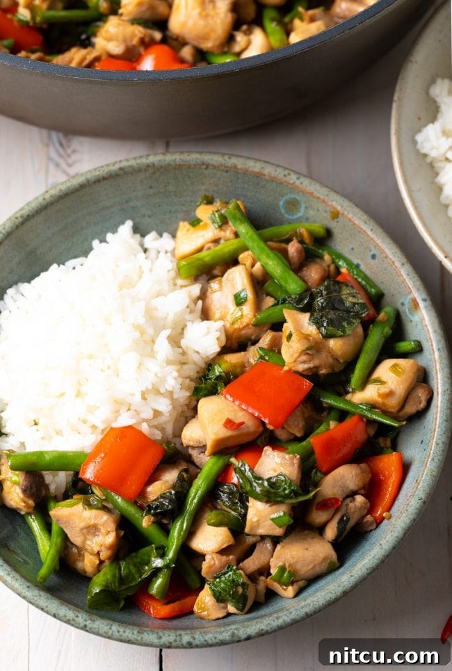 Thai Basil Chicken recipe, also known as Pad Krapow Gai, served in a large blue bowl.