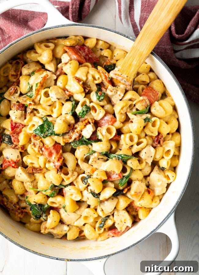 Luscious Tuscan Chicken Pasta 8 Overhead view of pot of creamy macaroni noodles with chicken, sun dried tomatoes, and spinach.