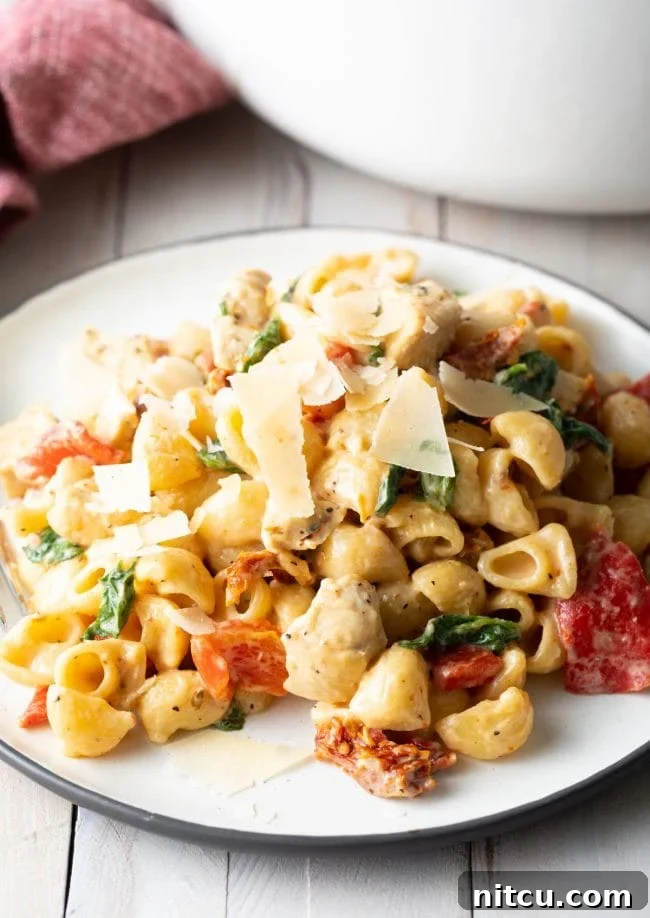 Luscious Tuscan Chicken Pasta 10 White plate with a serving of creamy chicken spinach pasta with red peppers, sun dried tomatoes, and topped with shaved parmesan cheese.