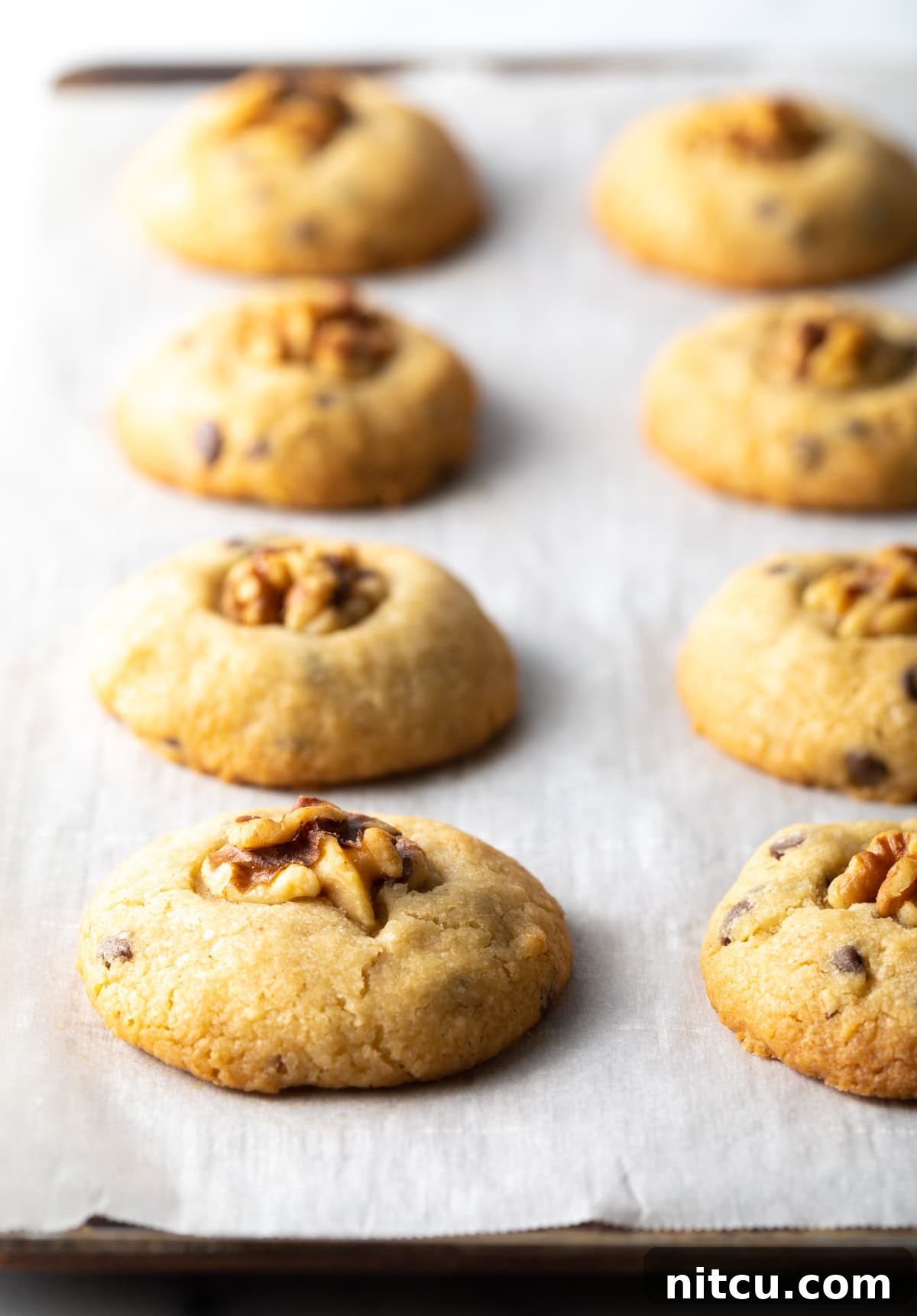 Freshly baked chocolate chip and walnut cookies lined up on a baking tray with white parchment paper.