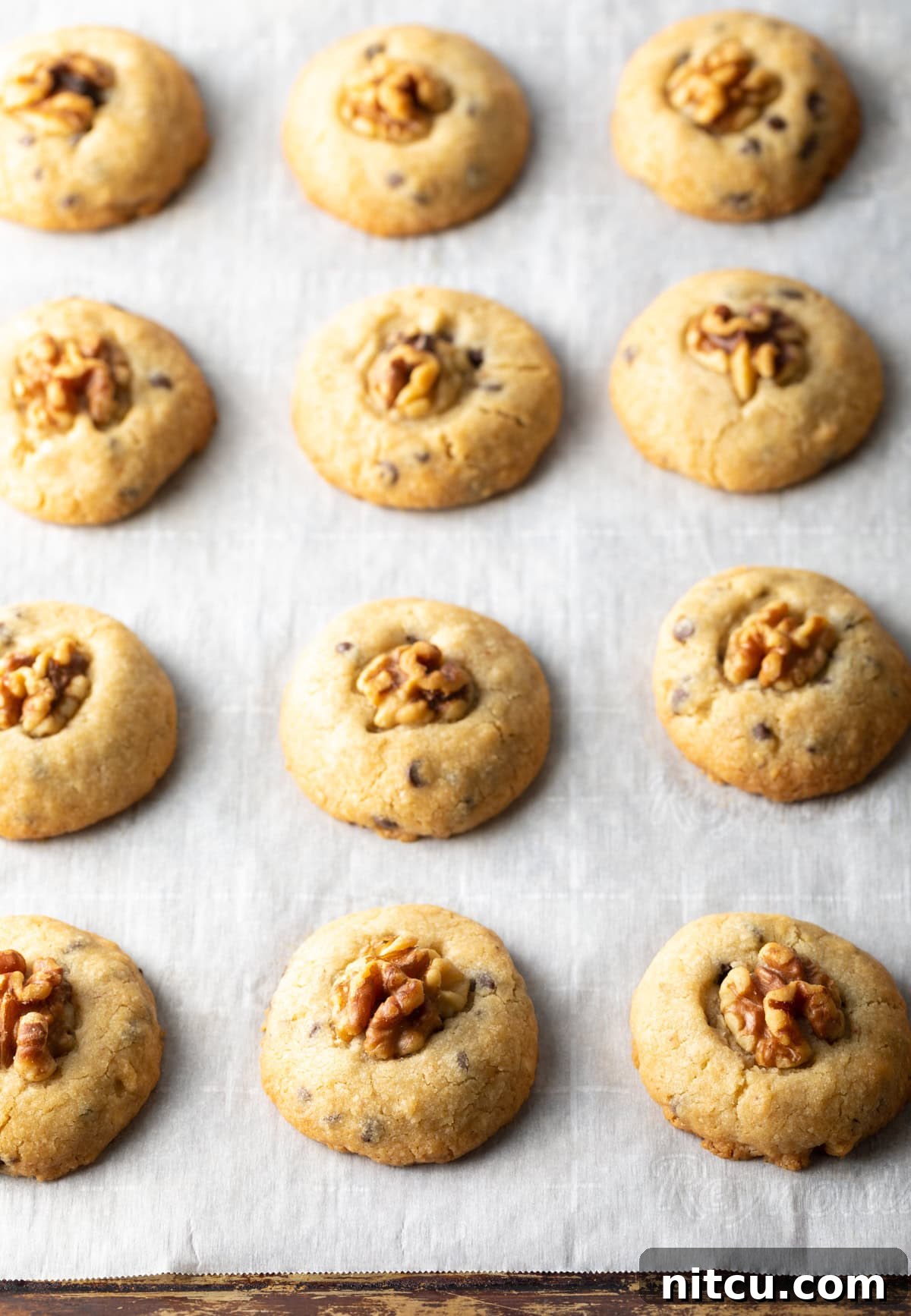 Chocolate chip and walnut cookies lined up on a baking tray with white parchment paper.
